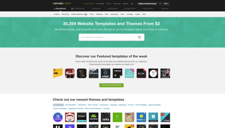 Custom WordPress Themes 