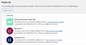 WordPress security - plugin updates