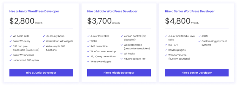 Why your should hire a dedicated developer - Hourly rate for WordPress developer