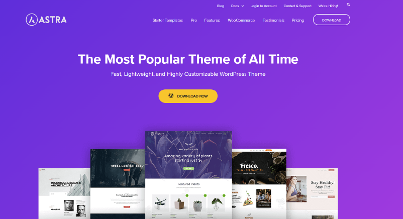 Astra WooCommerce Theme - best woocommerce theme