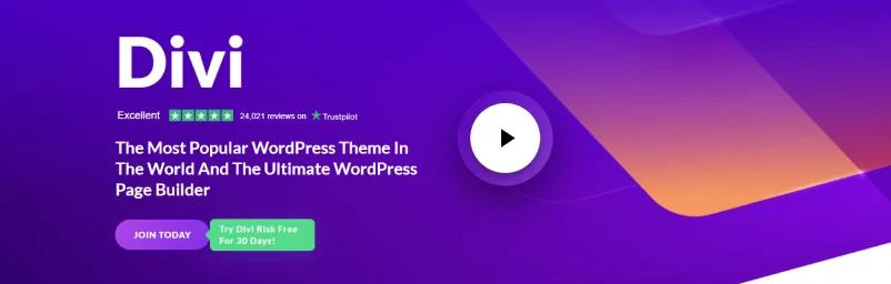 Divi theme homepage - the best ecommerce themes for WordPress
