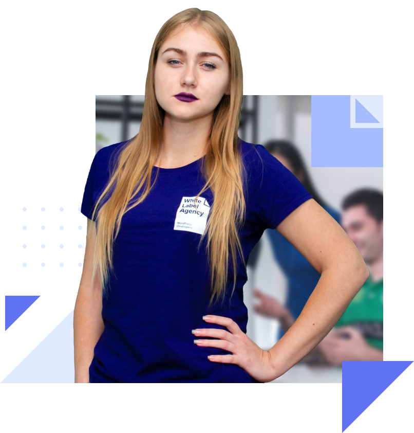 Astra theme WordPress - white label theme development