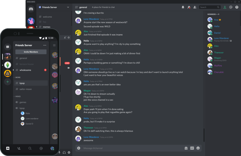 Discord App - Black Websites
