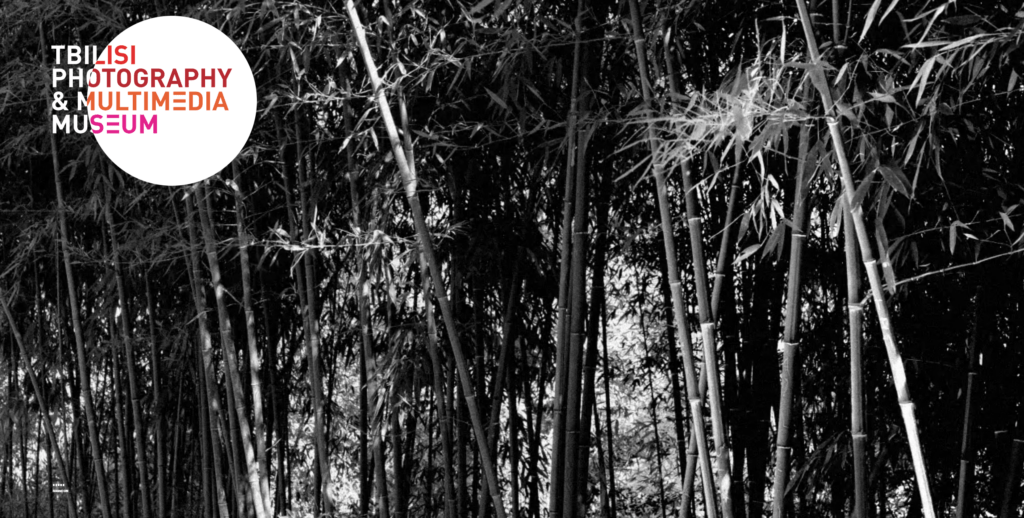 TPMM Homepage - Black Websites