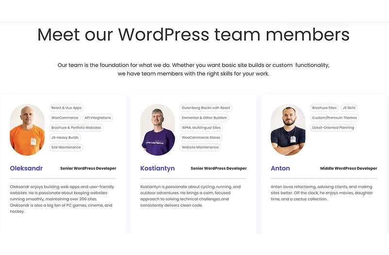 WordPress developer salary 2026
